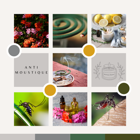 ANTI MOUSTIQUE
